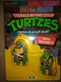 Teenage Mutant Ninja Turtles Real Magnets
