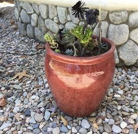 Mad Potter planter with succulents