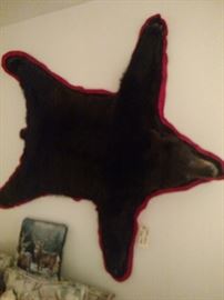 Bear Rug on Wall