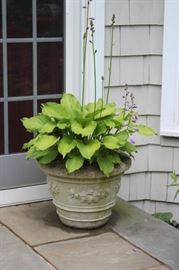 Garden Pot and Plant