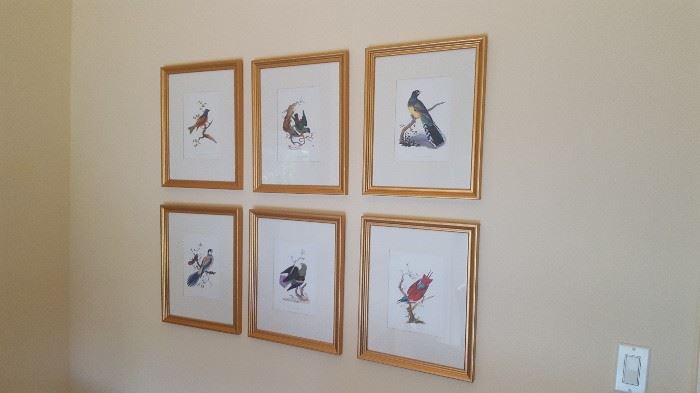 Set of Bird Lithographs