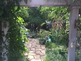 Oh, the garden - we have an arboretum right here in this pretty backyard ....