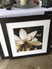 Magnolia prints