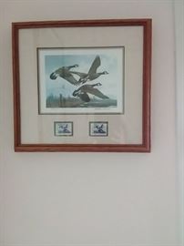Collectable Print of Geese with Official