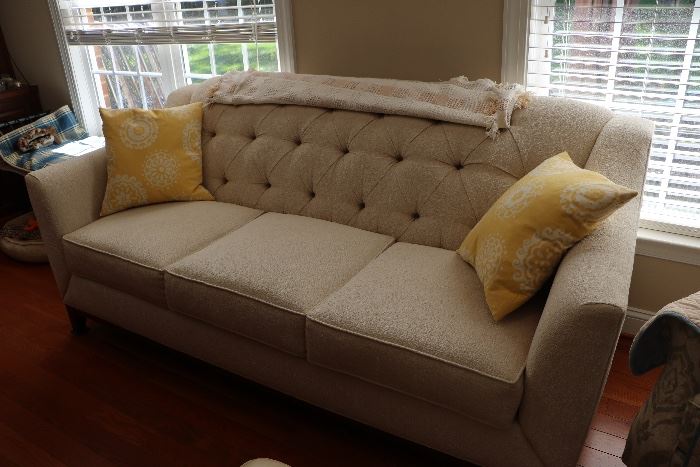 Living room couch