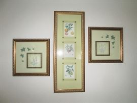 3 Botanicals Gilded Frames