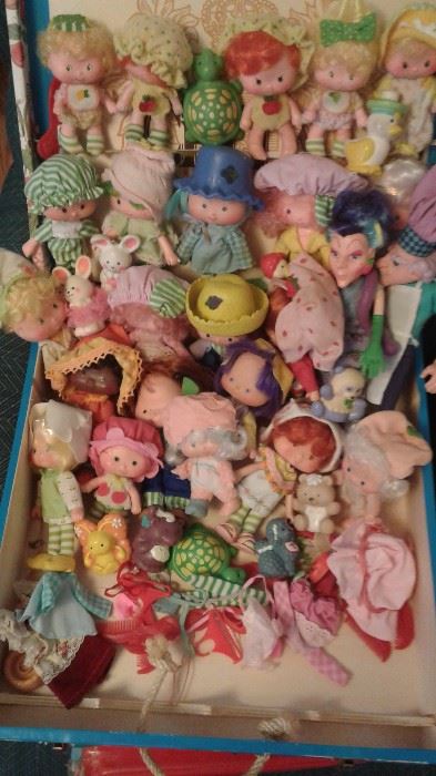 Strawberry Shortcake Doll and all her friends!  Their little pets, and many with boxes. 