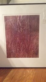Signed ELIOT PORTER (1901-1990) Dye Transfer Color Print "RED OSIER"