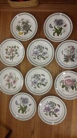 BOTANICAL GARDEN DINNER PLATES