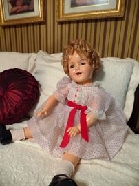 Hello, I need a new home!