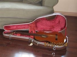 Takemine C132S Guitar in Hard Travel Case