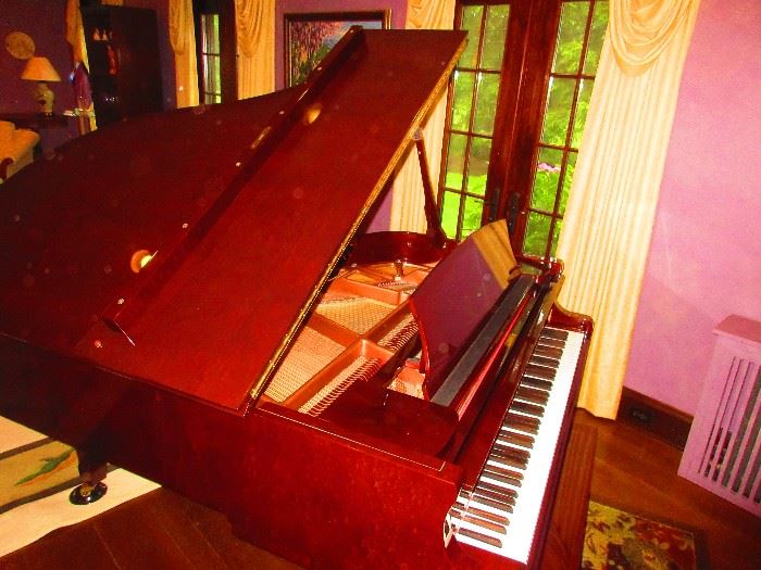 Detail of Pramberger baby grand piano