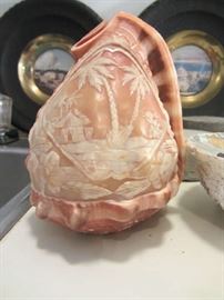 Carved Conch Shell