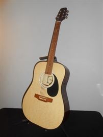 acoustic guitar