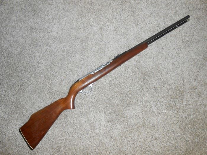 savage semi-auto .22