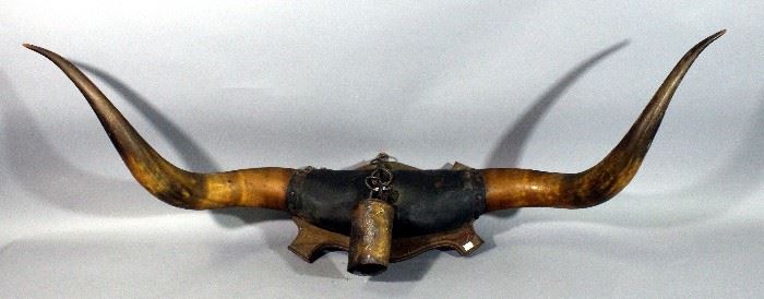 Vintage Mounted Bull Horns with Cowbell Attached, 49"W