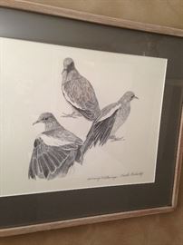 "Sunning Whitewings" - by Texas artist Charles Beckendorf (Charles Beckendorf Online Gallery, Fredericksburg, Texas)