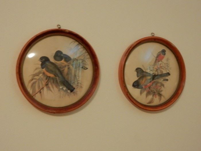 Pair of Bird Prints with Bubble Glass