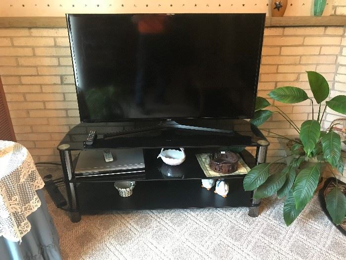 Portable stereo unit and flat screen TV
