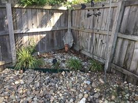 Back yard - statuary