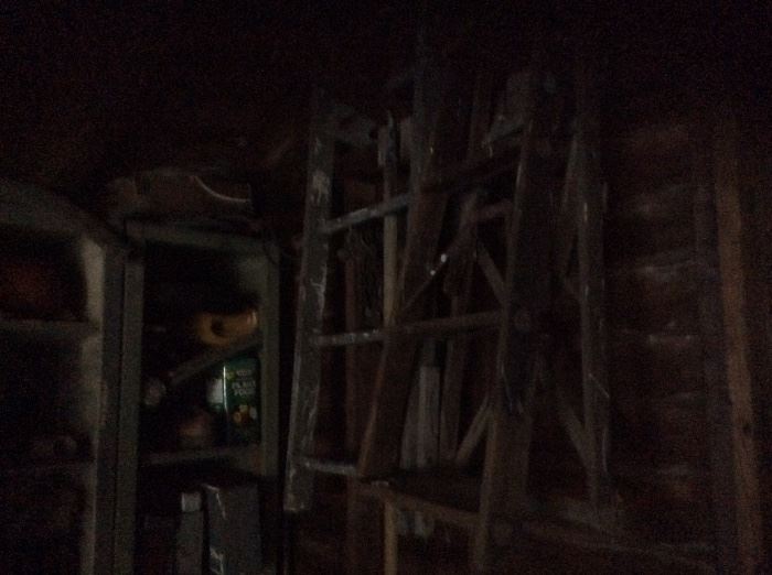HARD TO SEE TILL WE GET LIGHT BUT HERE ARE MANY MORE WOODEN LADDERS