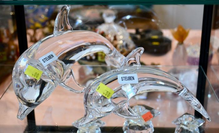 Steuben Dolphins