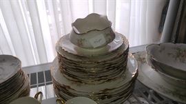 #48 pcs Warwick Avon Rose China