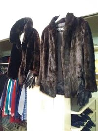 Mink coat & sheered Beaver coat 