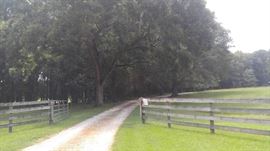 48 beautiful acres & large brick home with separate apartment for sale