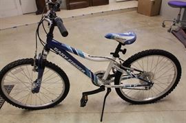 Gary Fisher 20 inch bike.