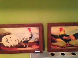 Companion rooster pictures