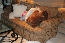 Sofa and Pillows