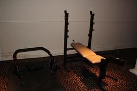 Bench Press and Ab Roller