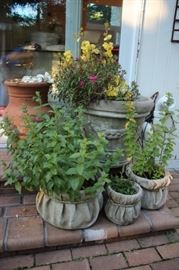 Potted Plants and Garden Pots & Urns