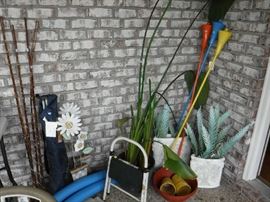 We have a few live plants ready for a new home