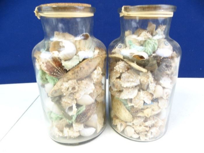 Large Jars with Shells (2)