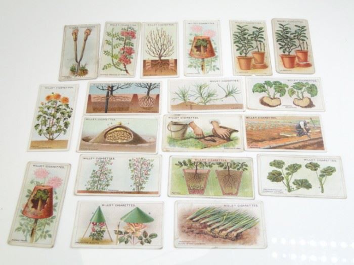 19 Willss Cigarettes Cards 1920s