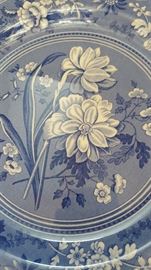 The Spode Blue Room Collection Botanical 