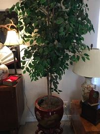 Fichus Tree in Asian Fishbowl with Stand