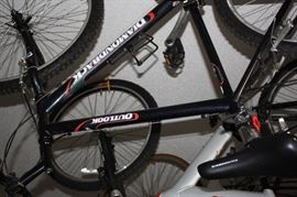 Outlook Diamondback bike