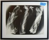 BORGNA, Claudia, “Threesome”, Framed Photo, 25" x 21"