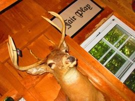 Deer Mount