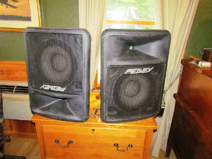 Peavey Speaker Set