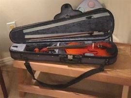 Violin