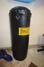 Everlast Punching Bag