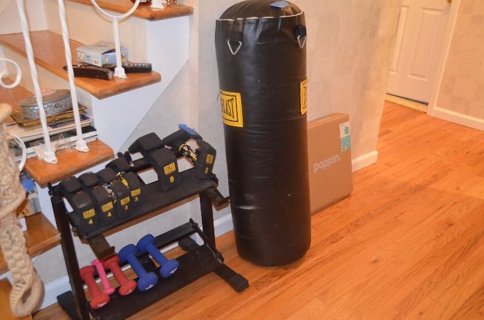 Weights, Everlast Punching Bag
