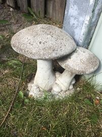concrete mushrooms