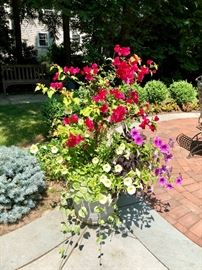 Stunning potted planters