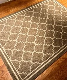 Indoor/ Outdoor rug
