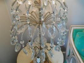 2nd spray of tendrils 